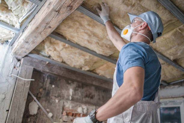 Best Insulation Replacement Services  in Towamensing Trails, PA