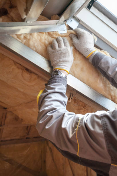 Best Home Insulation Services  in Towamensing Trails, PA
