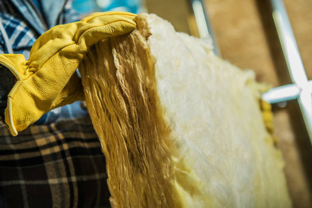 Best Insulation Contractors for Homes  in Towamensing Trails, PA
