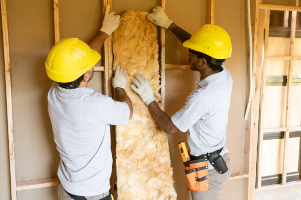 Best Insulation Inspection Services  in Towamensing Trails, PA